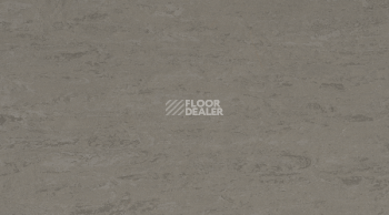 Линолеум Gerflor Linodur Sport 1059 Slate Grey фото 1 | FLOORDEALER